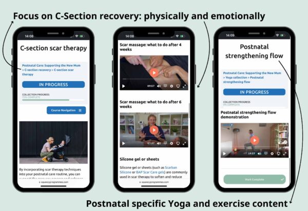Screenshots from the Postnatal Care: Nurturing the New Mum course - focus on C-section recovery.